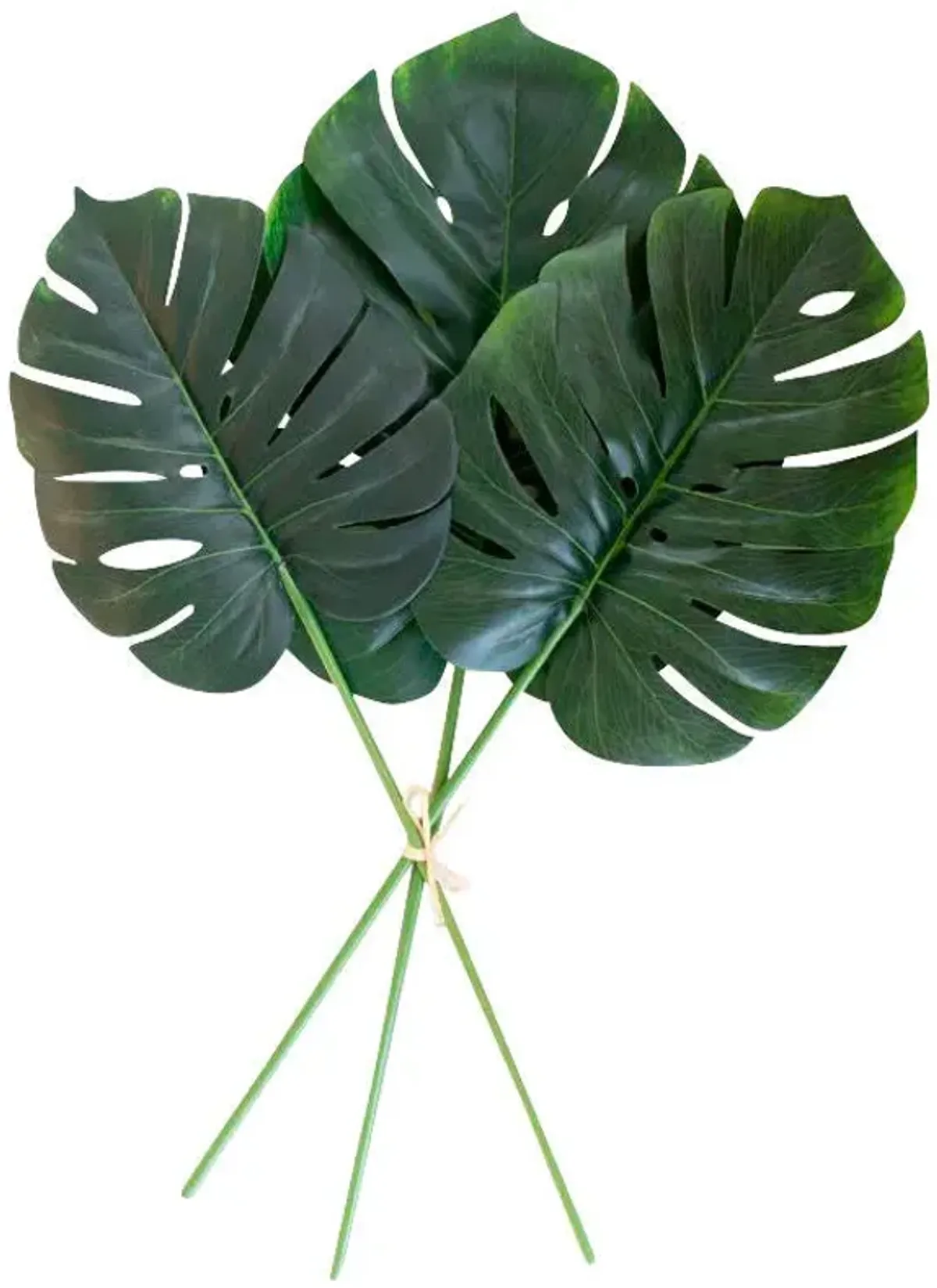 | Botanical Large Monstera Leaf Greenery | Dark Green