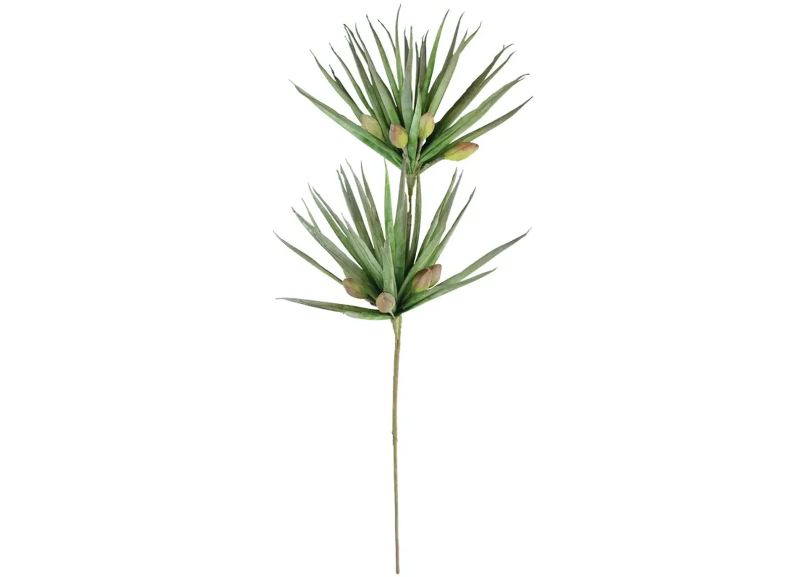 | Botanical Palm Fronds Greenery