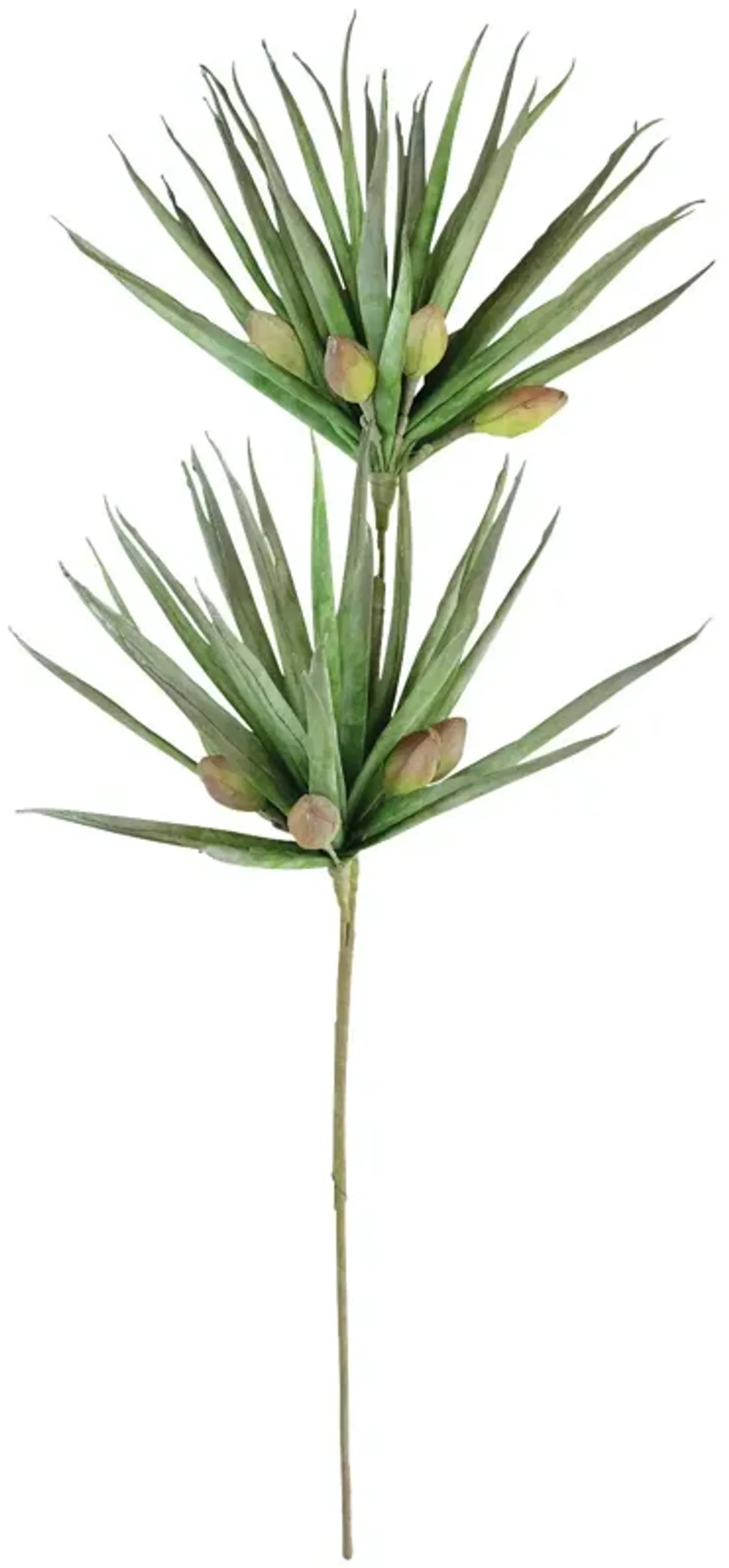 | Botanical Palm Fronds Greenery