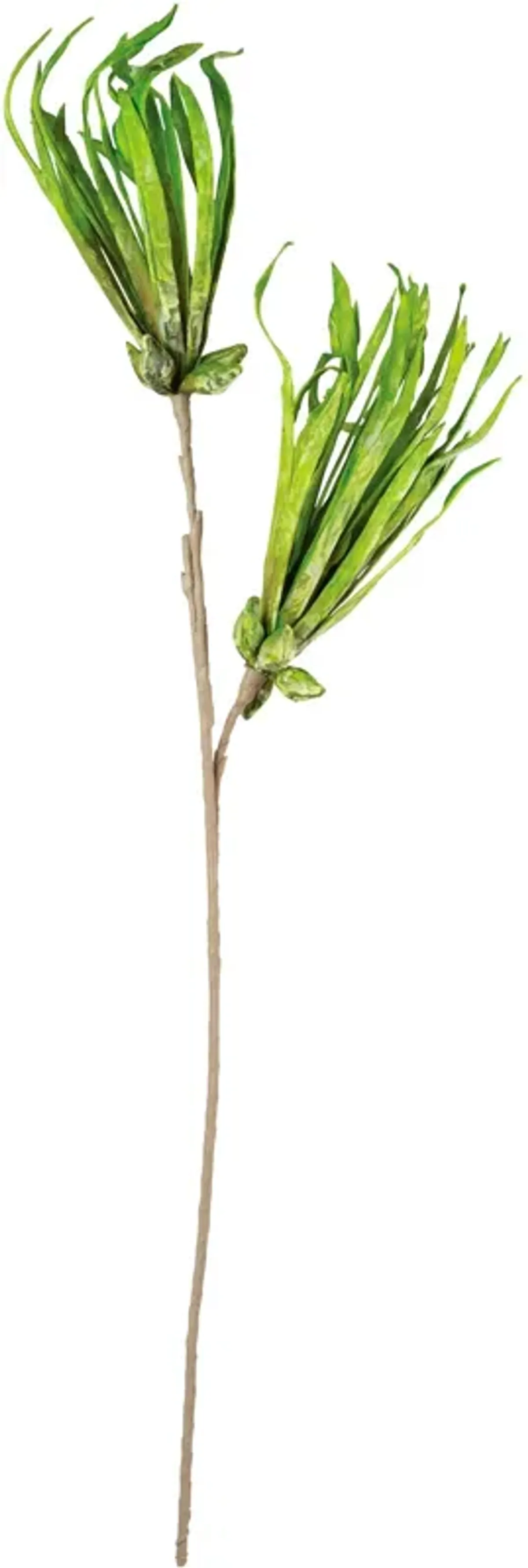 Botanical Skinny Spike Greenery