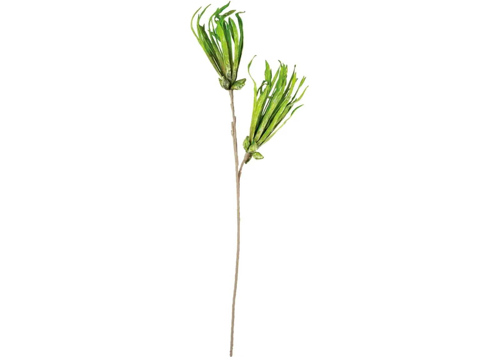 | Botanical Skinny Spike Greenery