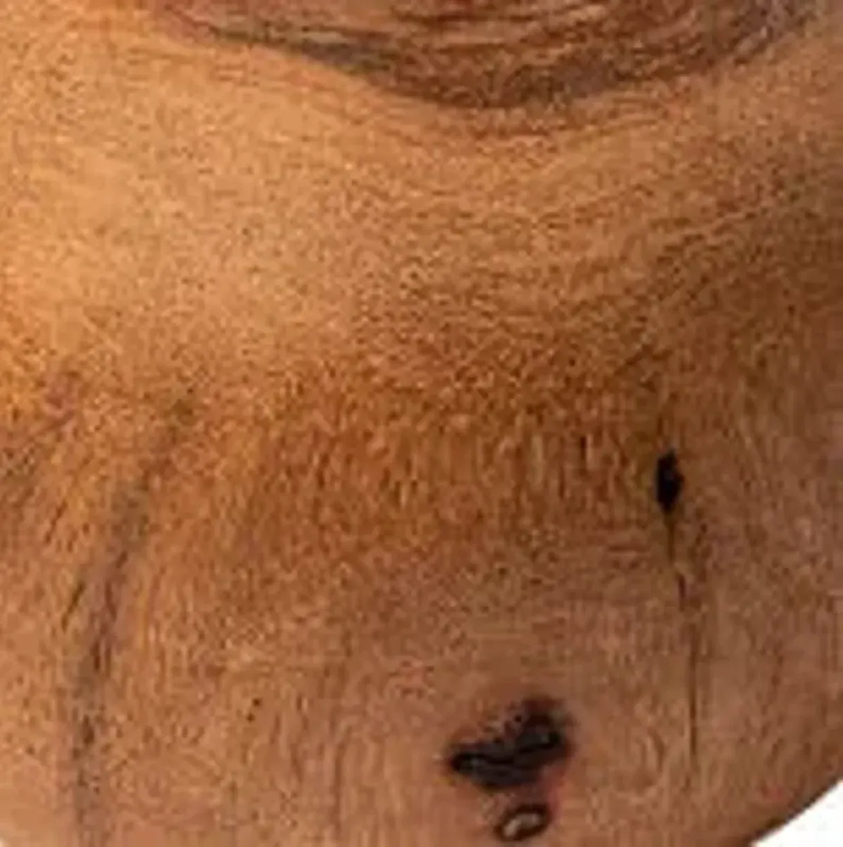 Mercana Furniture & Decor Afra Small Vase