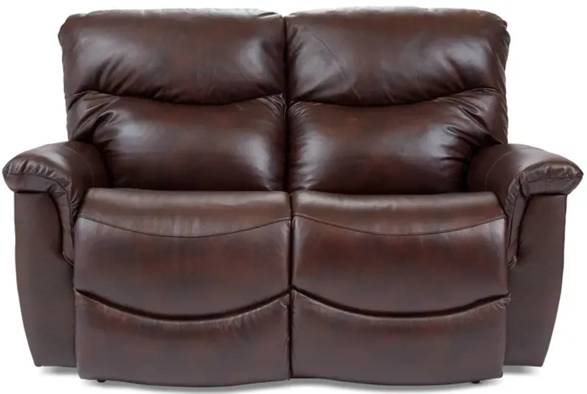 James Leather Reclining Loveseat