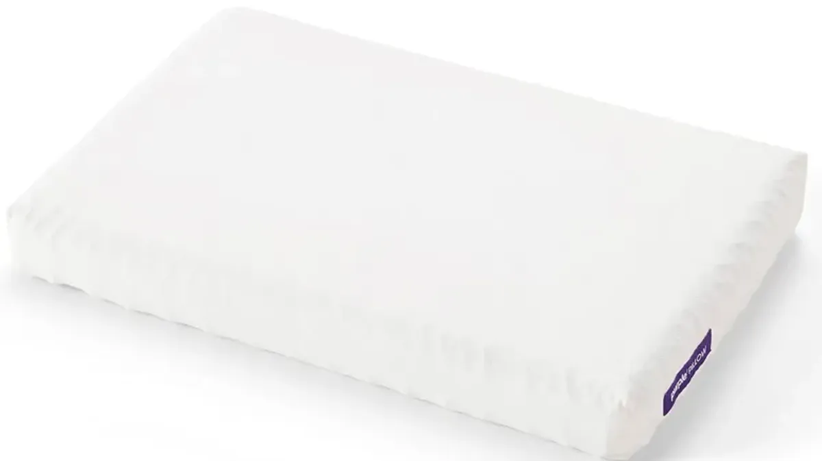 The Purple Pillow With Booster