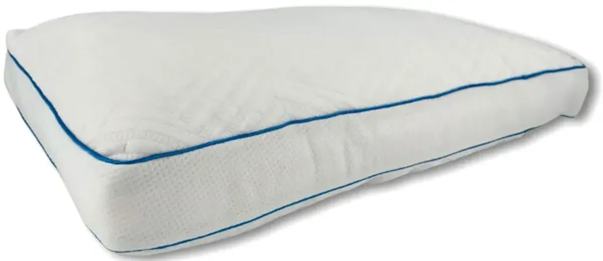 All Seasons Low Profile Pillow