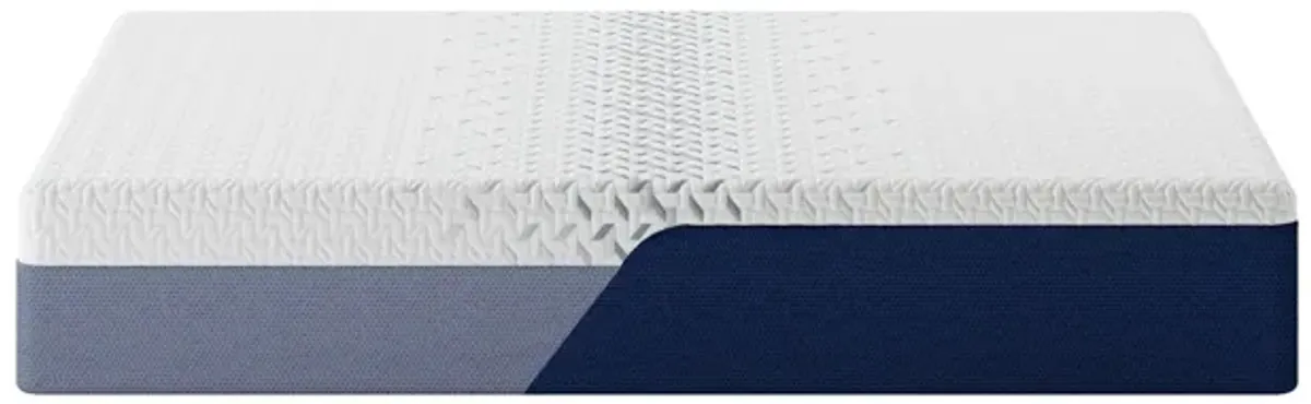 Ashley Sleep Nectar Premier Mattress