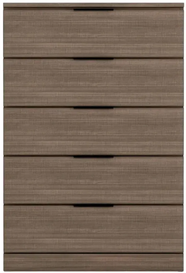 Perdue Big Chesters Pull Handle 5 Drawer Chest