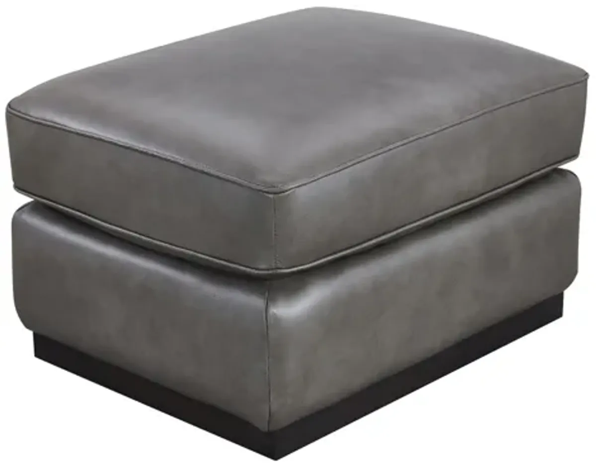 | Carter Ottoman | Saddle Domino