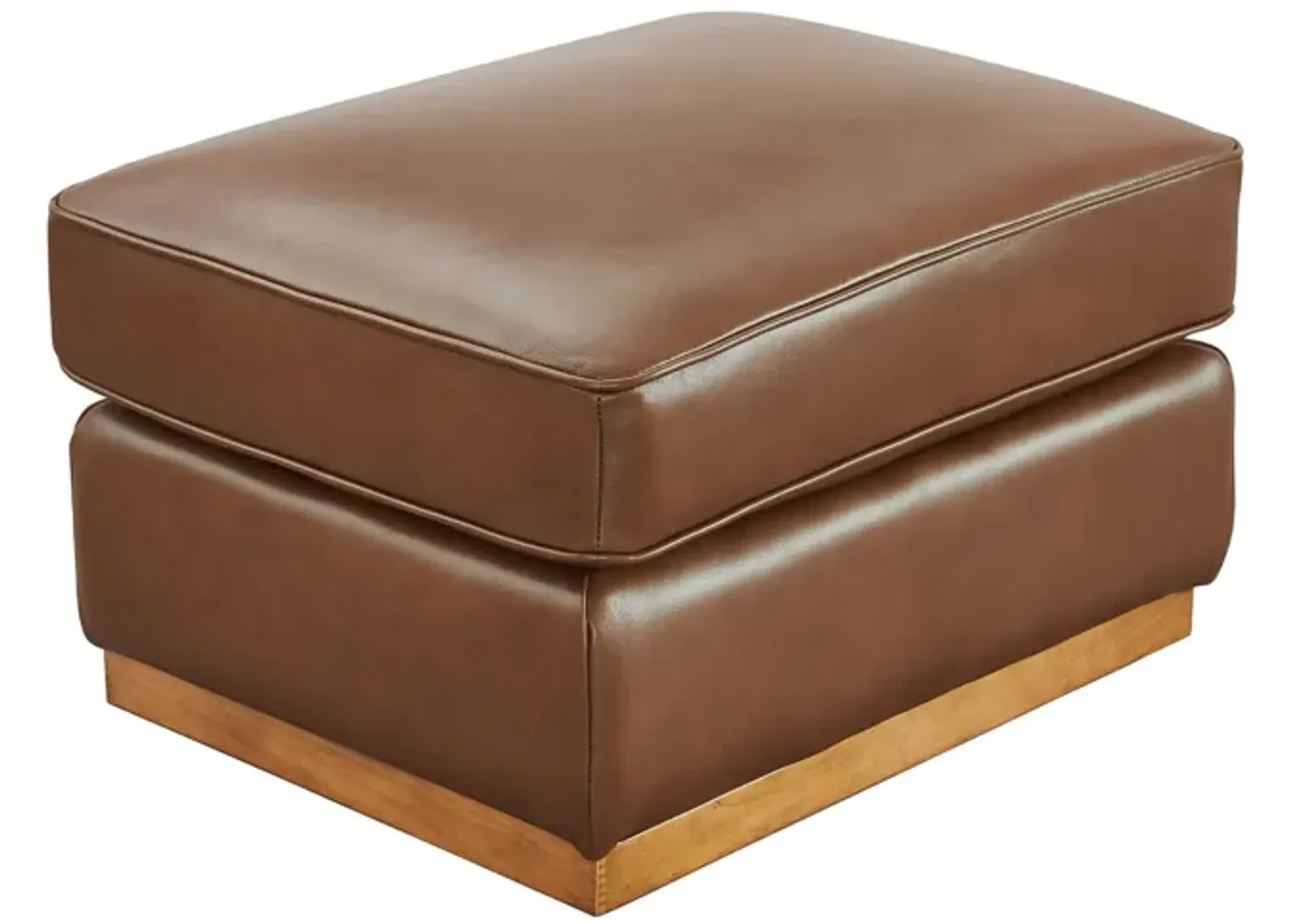 | Carter Ottoman | Saddle Domino