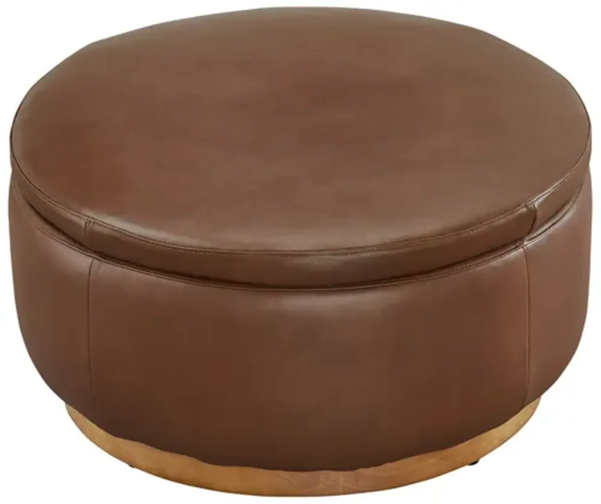 Carter Storage Ottoman