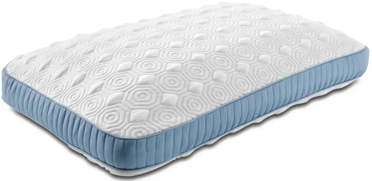 Tempur-Pedic Stearns and Foster Studio Pillow
