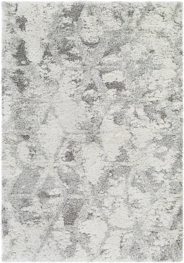 Surya Alta Shag Rug