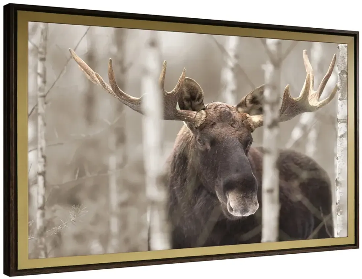 Moose Horn Wall Art