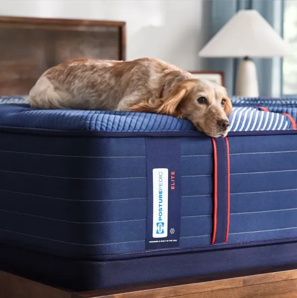 Sealy Posturepedic Elite Albany II Firm Tight Top Mattress