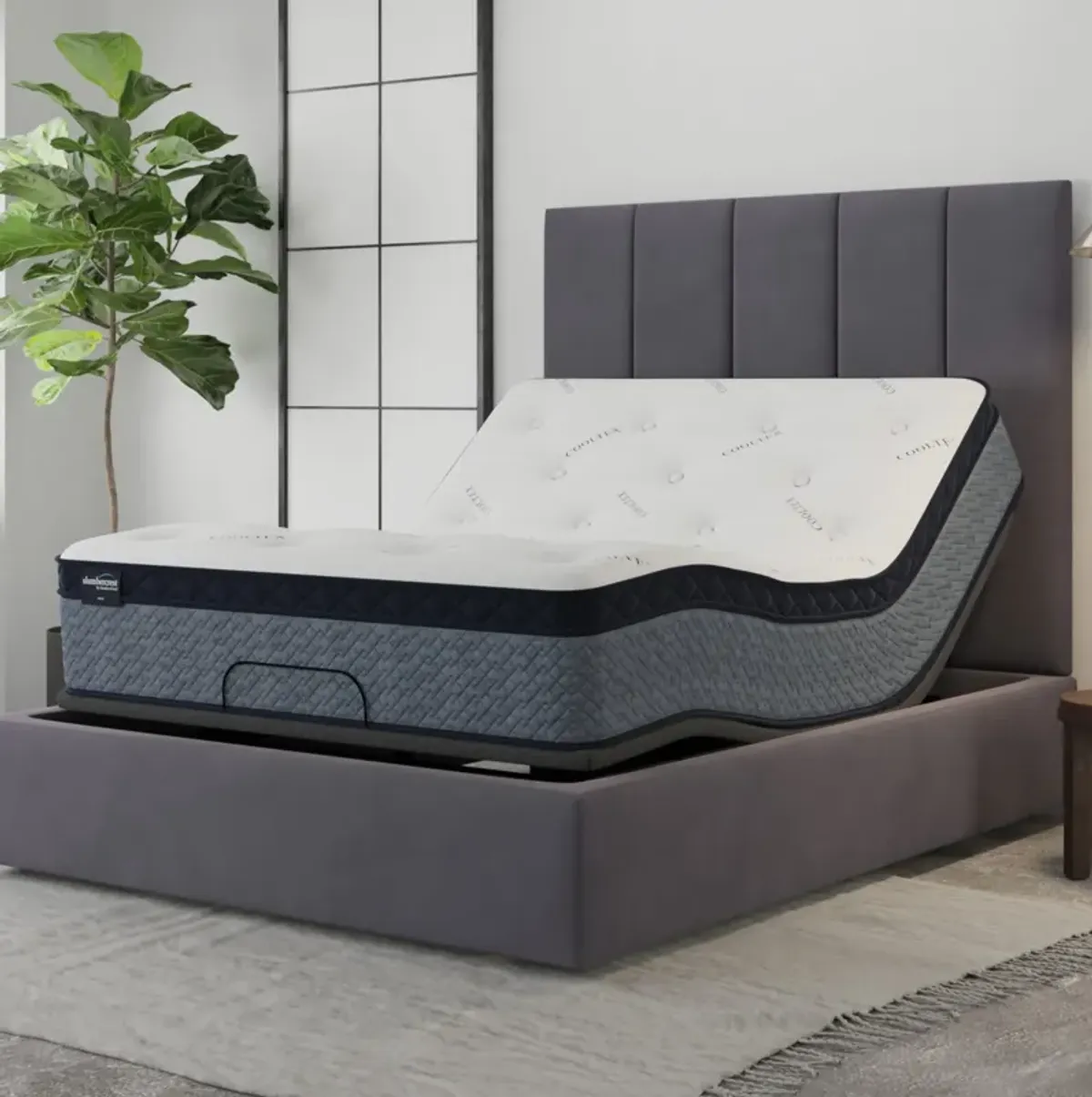 Sherwood Bedding Slumbercrest Regis Medium Pillowtop Mattress