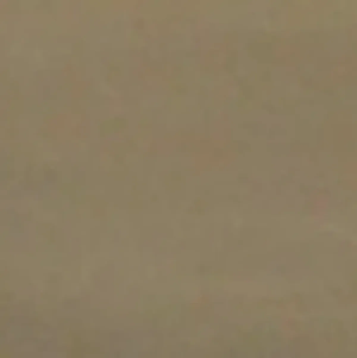 StyleCraft Home Collection Modern Farmhouse Cheval Mirror