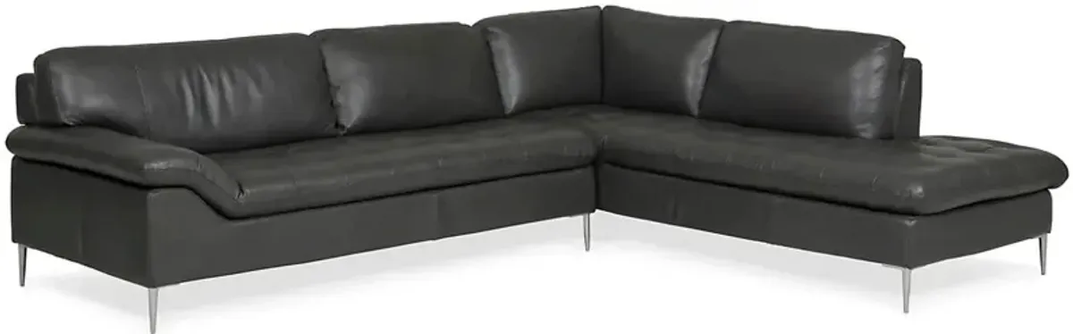 Dino Slate 2pc Sectional with RAF Chaise