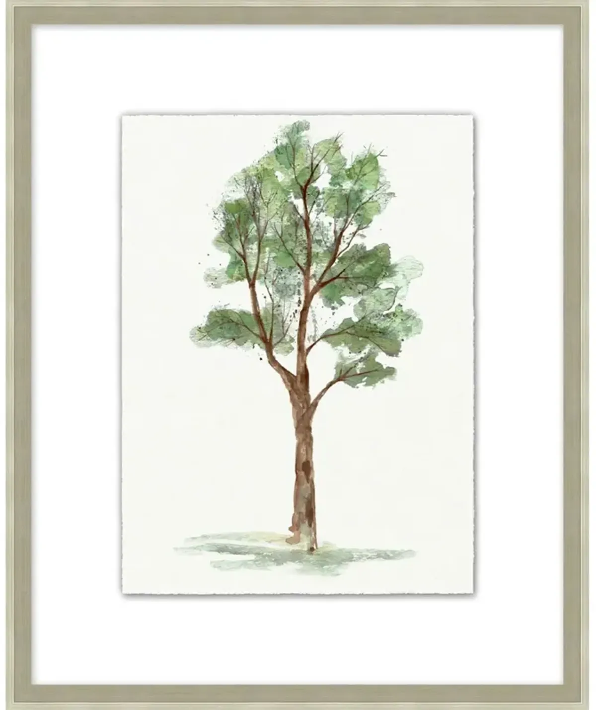 Standing Sycamore I Wall Art