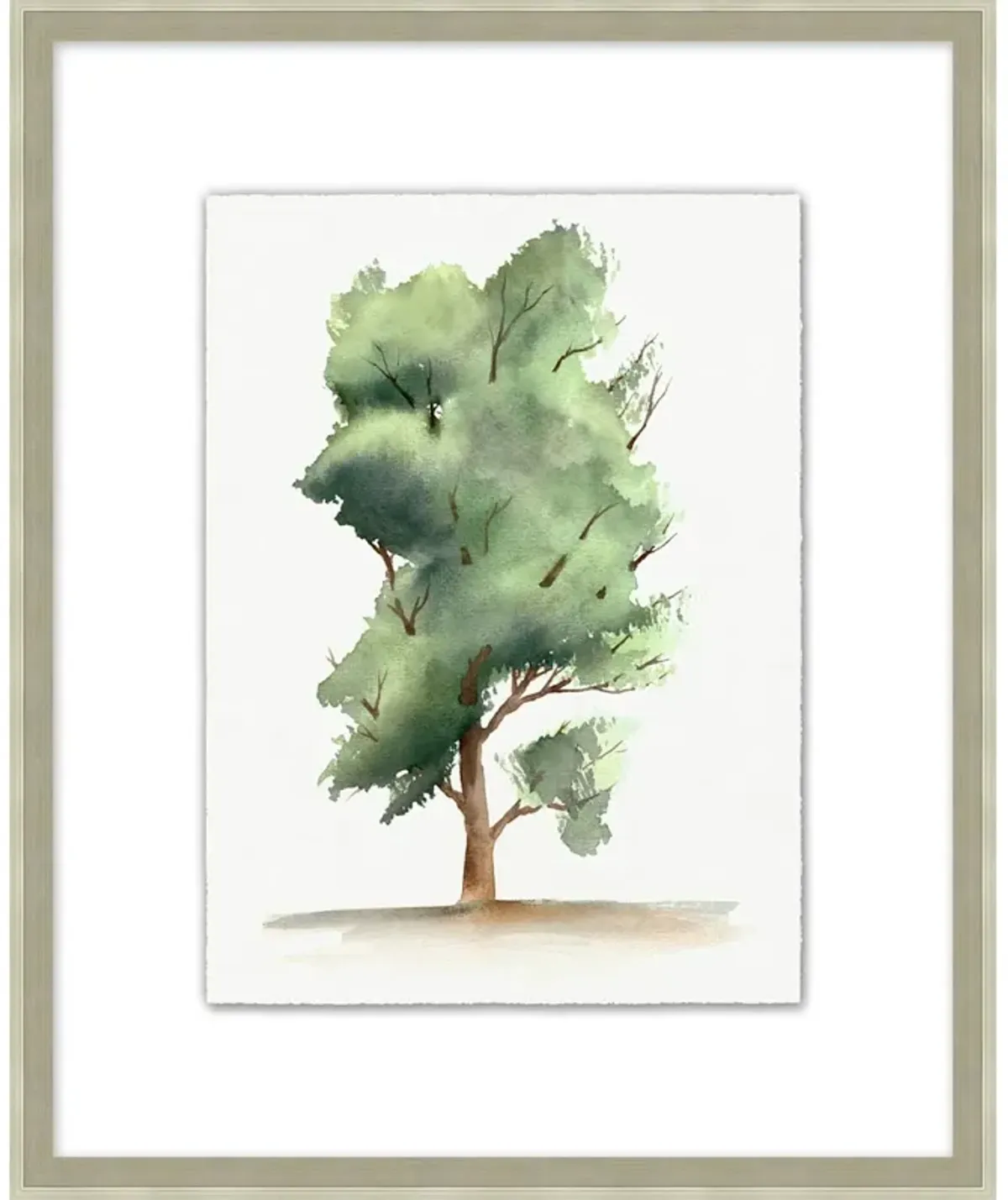 Standing Sycamore III Wall Art