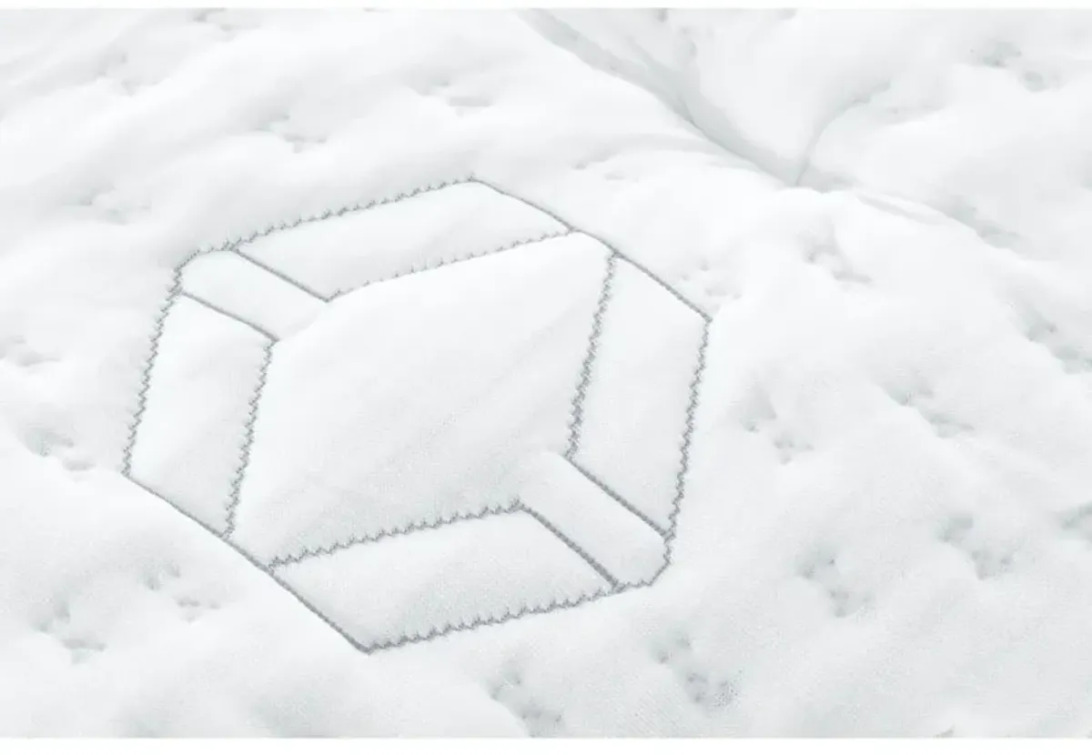 Aireloom Streamline III Firm Mattress - QUEEN