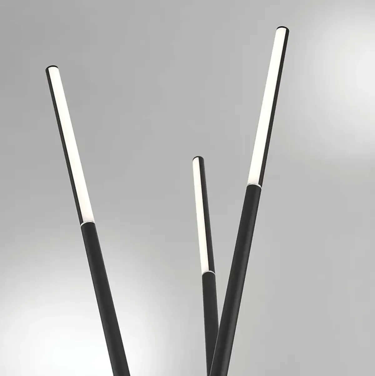 Cora Black LED Floor Lamp