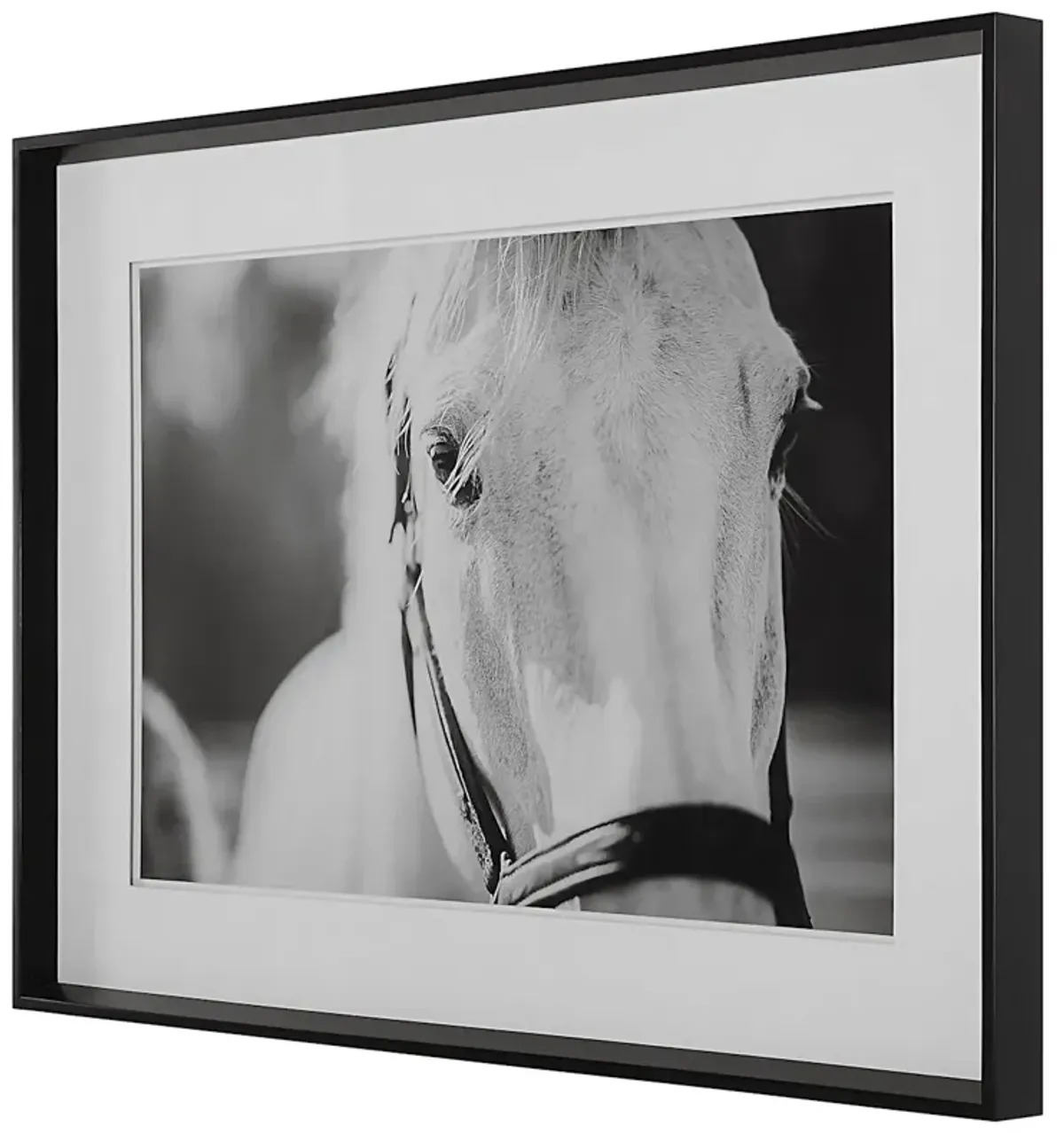 Hold Your Horses I Wall Art
