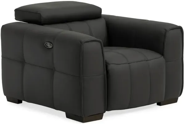 Albrecht 2-Power Leather Recliner