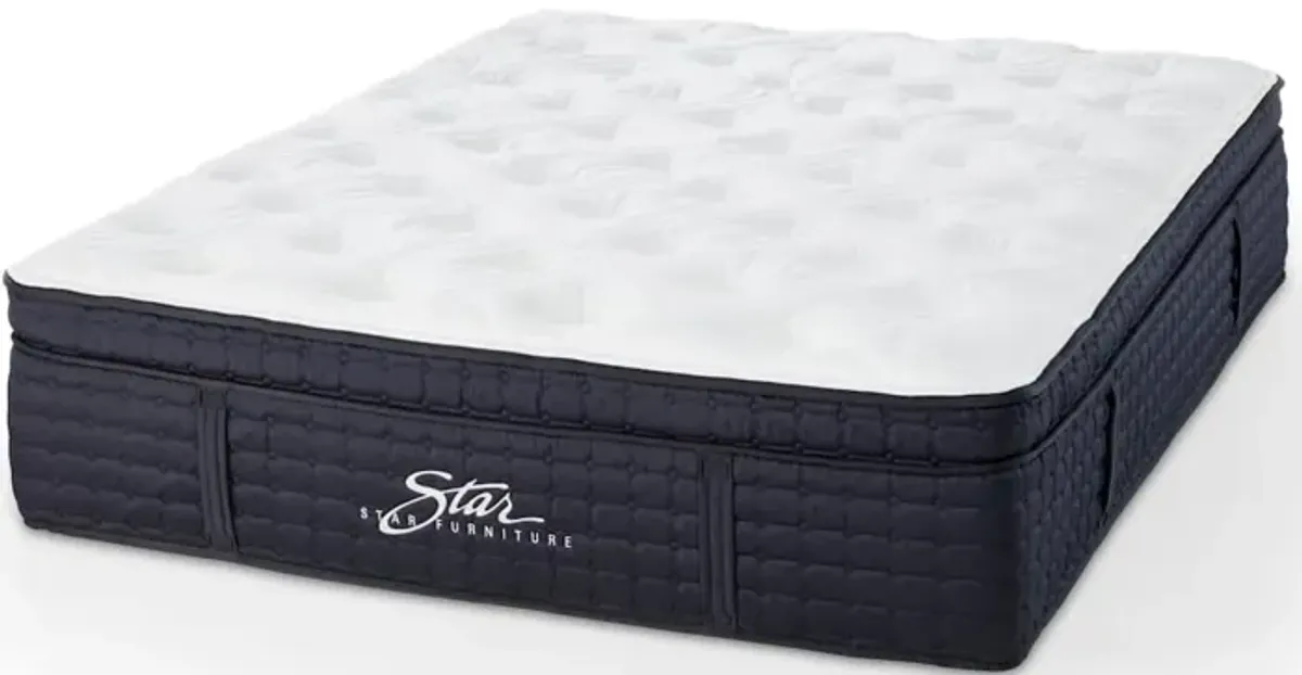 Dream Plush Pillow Top Mattress - Full