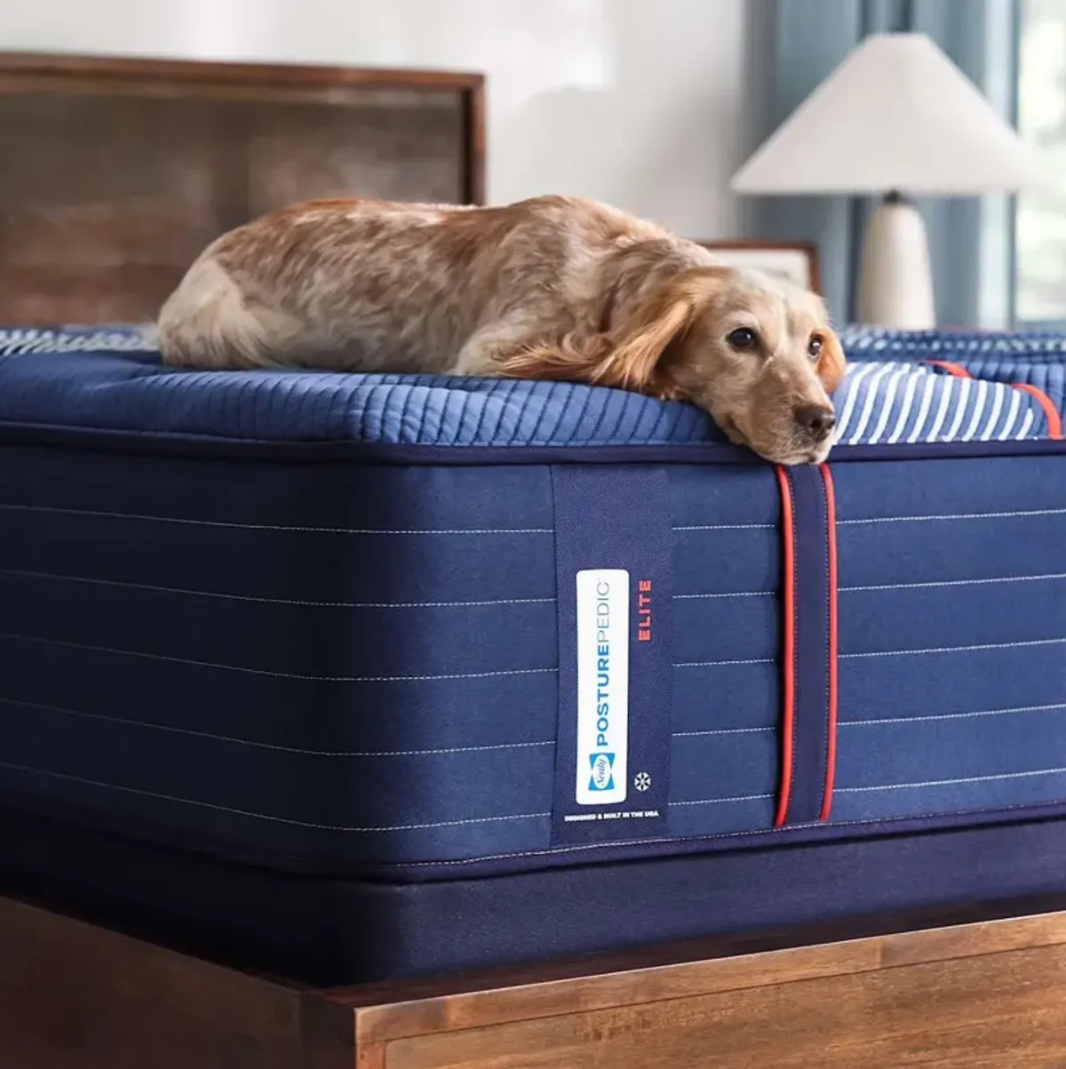 Sealy Posturepedic Elite Brenham II Medium Tight Top Mattress - California King