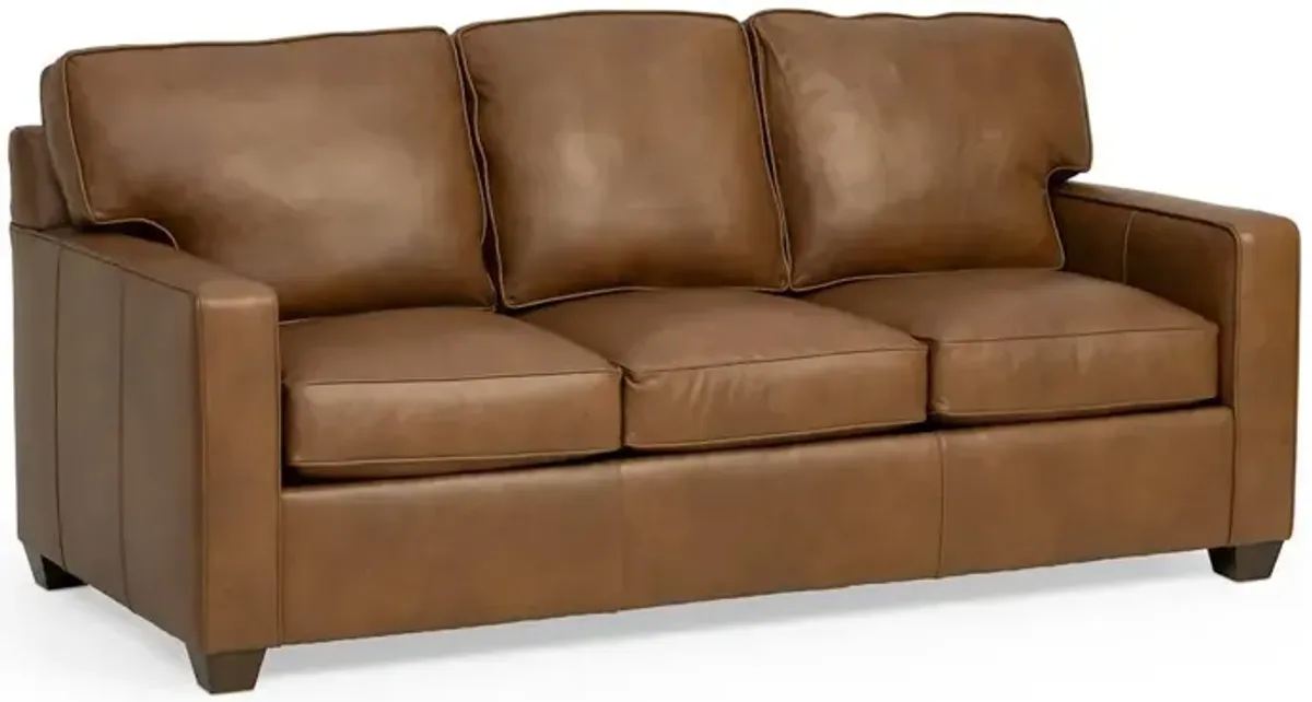 Brooke Queen Sleeper Sofa - Leather
