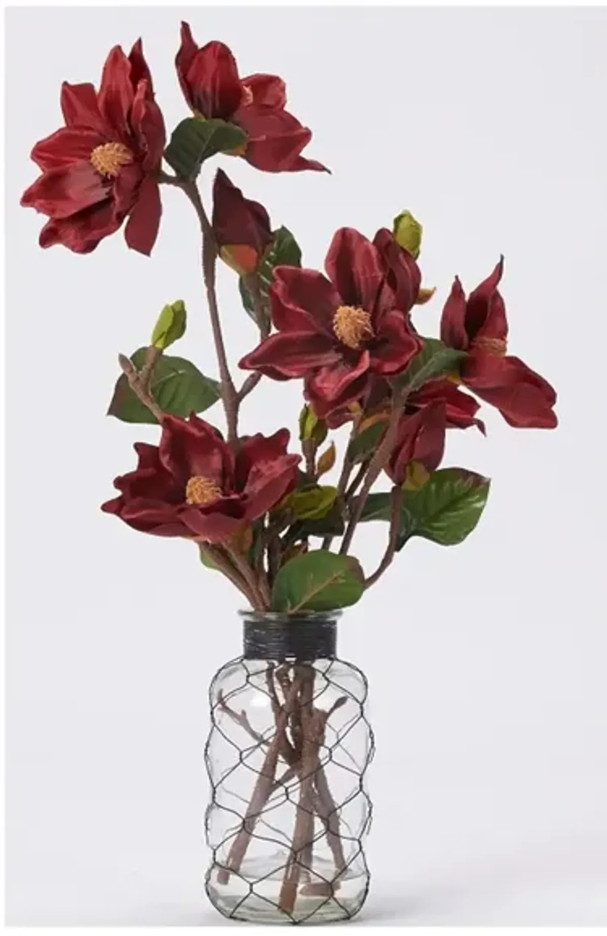 Burgundy Magnolia Branches In Glass Vase 12"W x 25"H