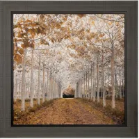 White and Gold Trees Framed Print 49"W x 49"H