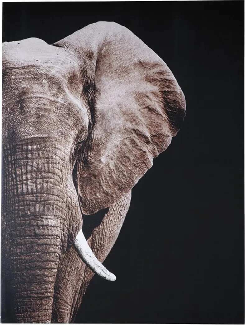 Elephant Canvas Art 36"W x 48"H