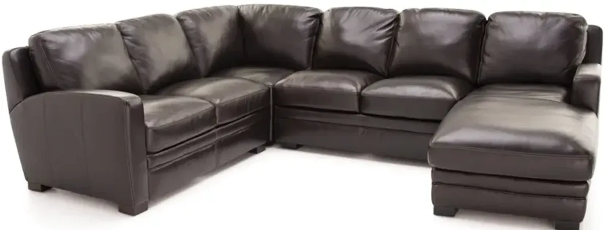 Carson 4-Pc. Leather Sectional 