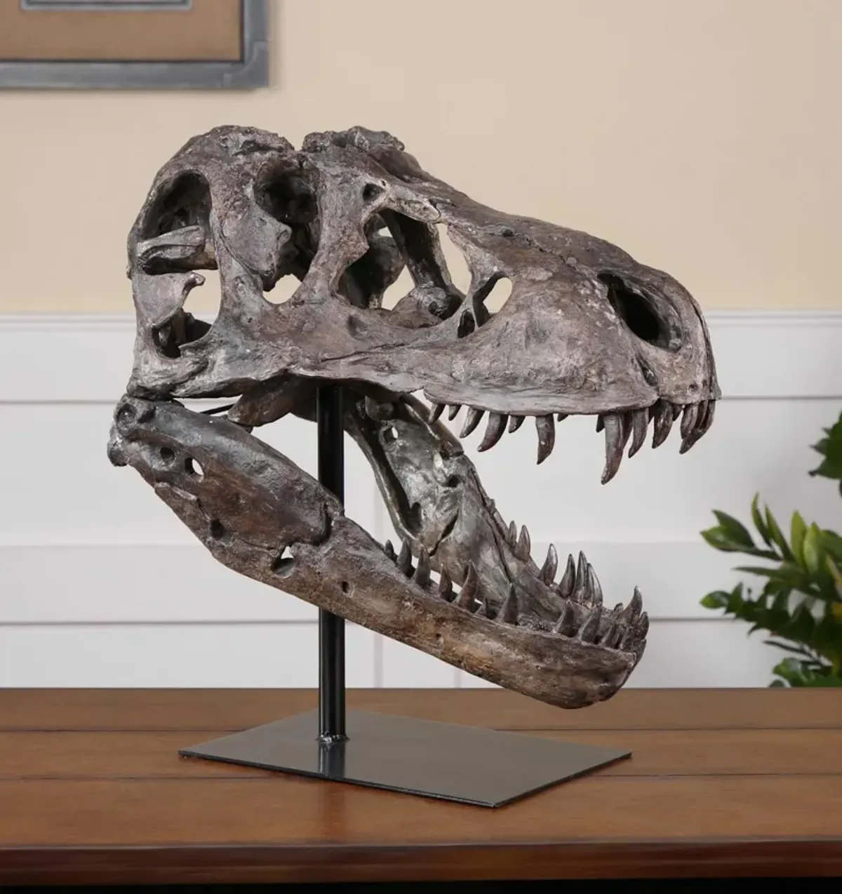 Tyrannosaurus Faux Skull 19"W x 20"H