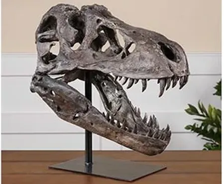 Tyrannosaurus Faux Skull 19"W x 20"H