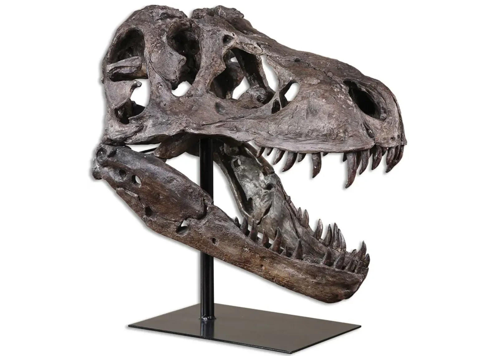 Tyrannosaurus Faux Skull 19"W x 20"H