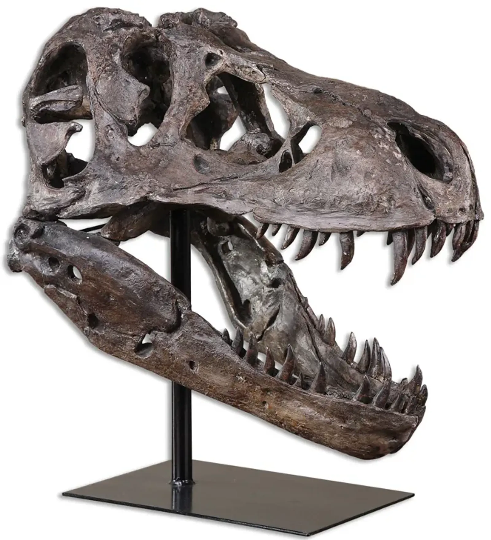 Tyrannosaurus Faux Skull 19"W x 20"H