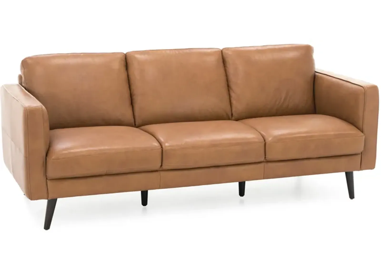 Turin Leather Sofa in Brandy