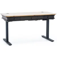 Windsor Electric Sit and Stand Desk