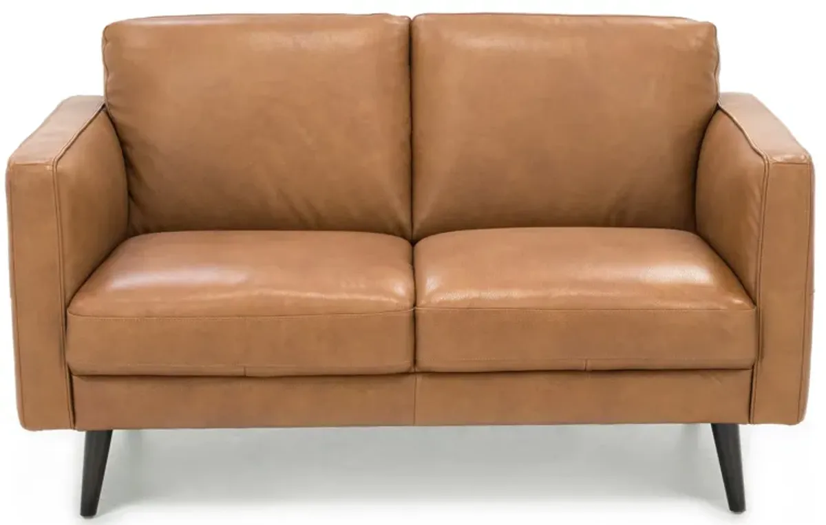 Turin Leather Loveseat in Brandy