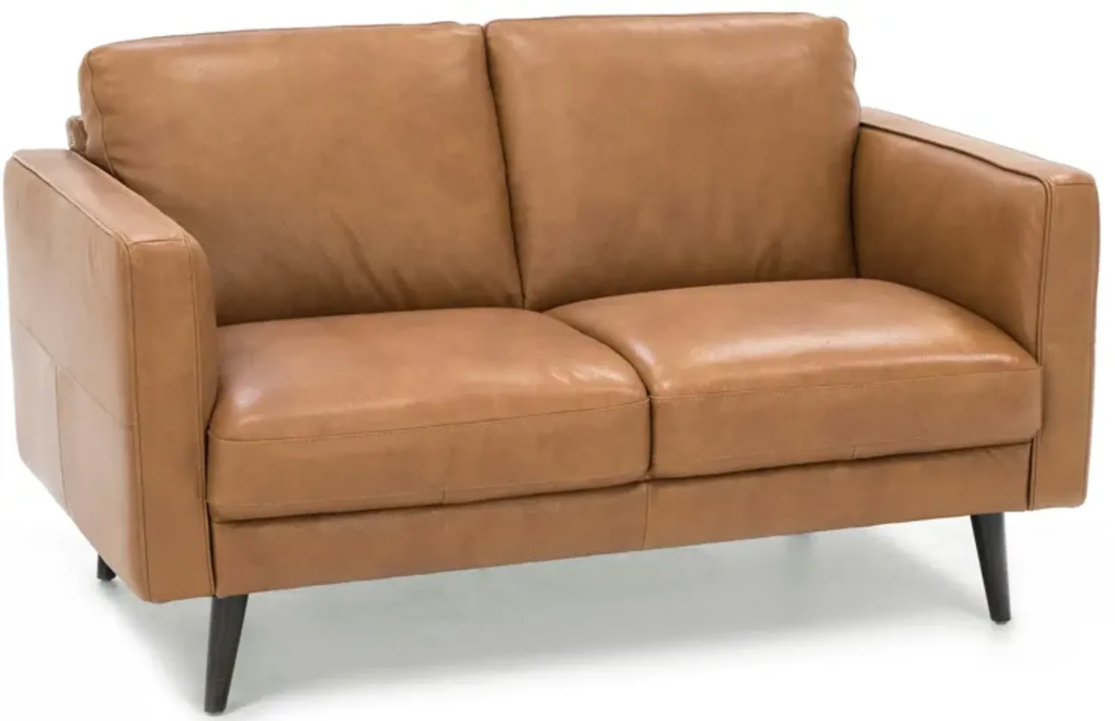 Turin Leather Loveseat in Brandy