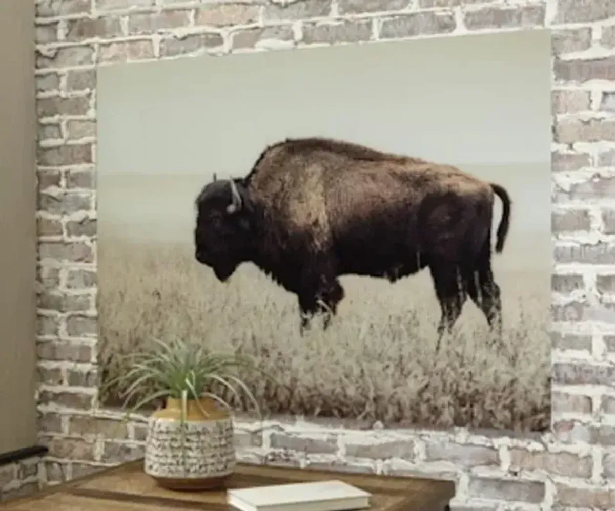 Bison Glass Wall Art 48"W x 36"H