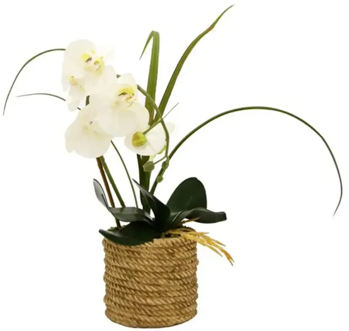 Faux White Orchid Plant In Rope Pot 5"W x 18.5"H