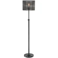 Caged Drum Floor Lamp With Edison Bulb 62"H