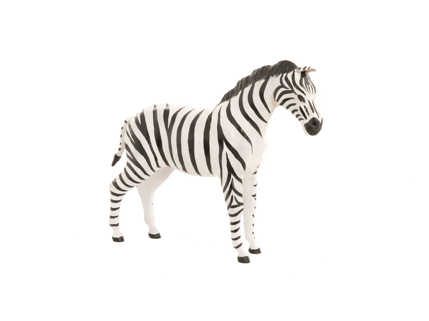 Small Zebra