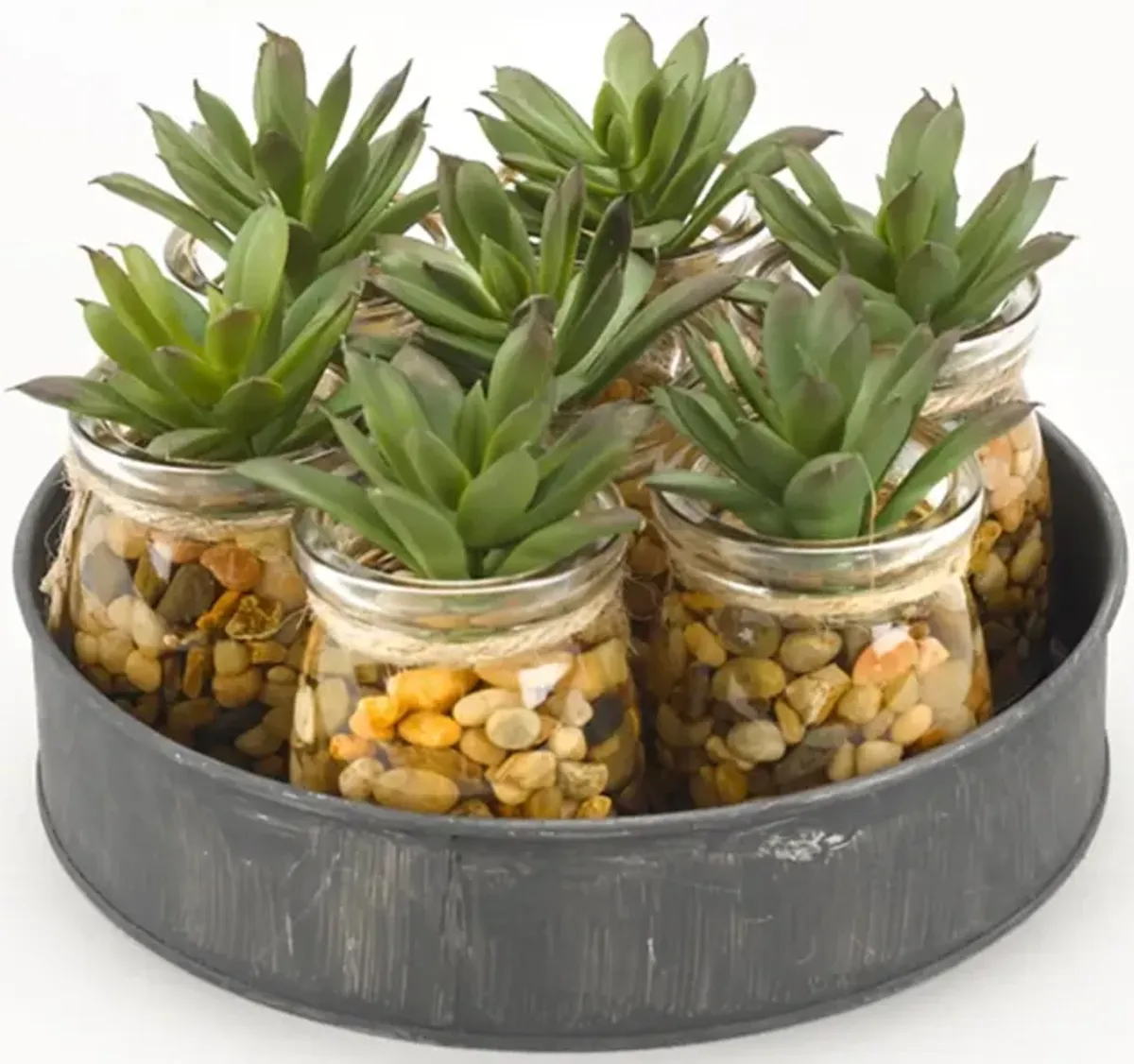 Mini Aloe Plants in Glass Jars on Metal Tray 8"W x 4.5"H