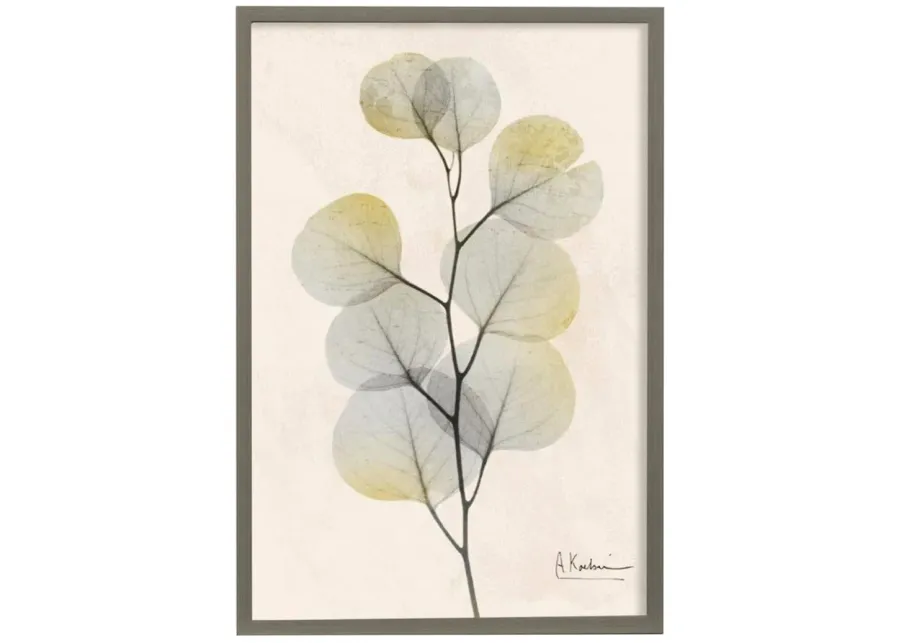 Eucalyptus II Framed Print Under Glass 26"W x 38"H