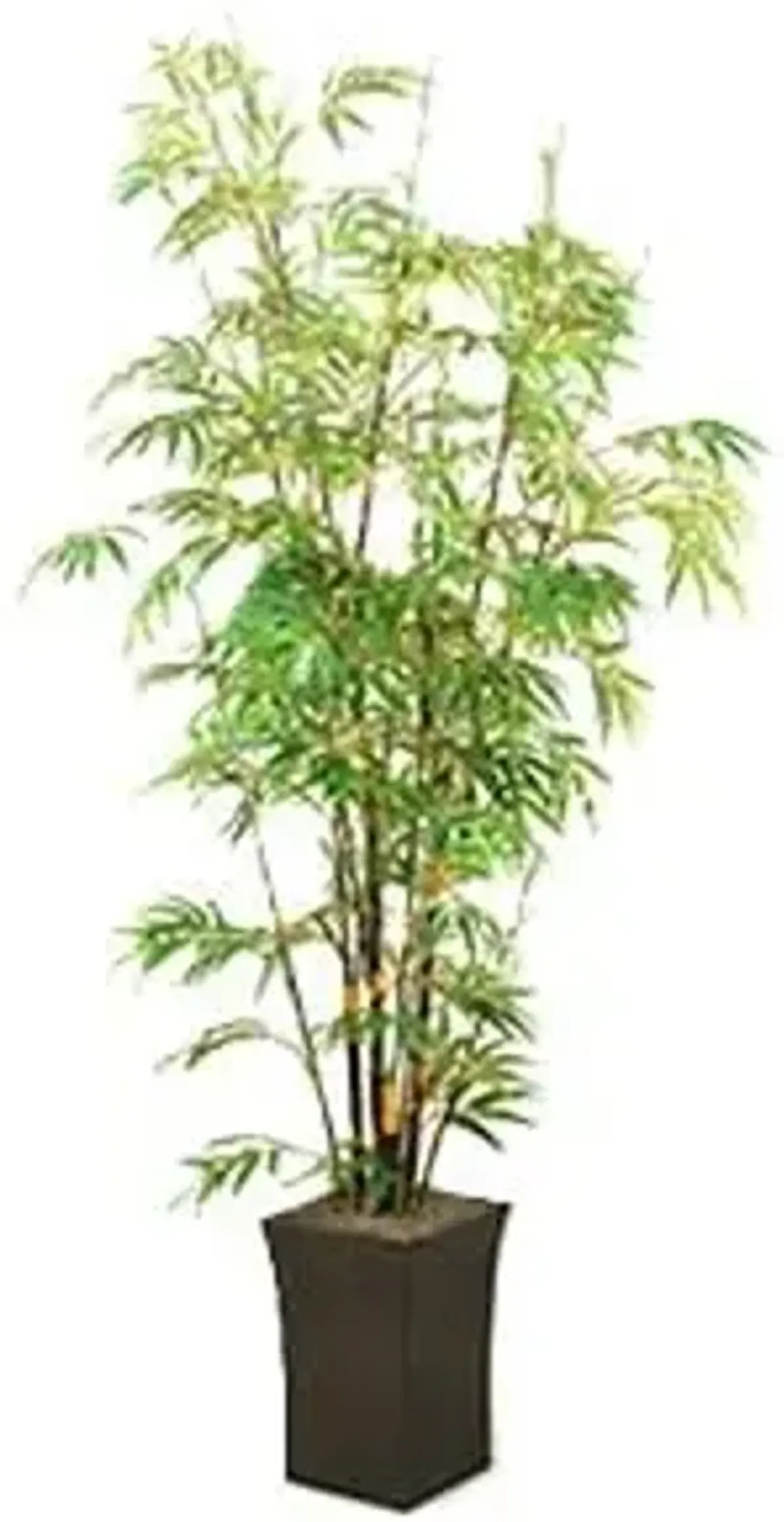 Bamboo Tree 7'H