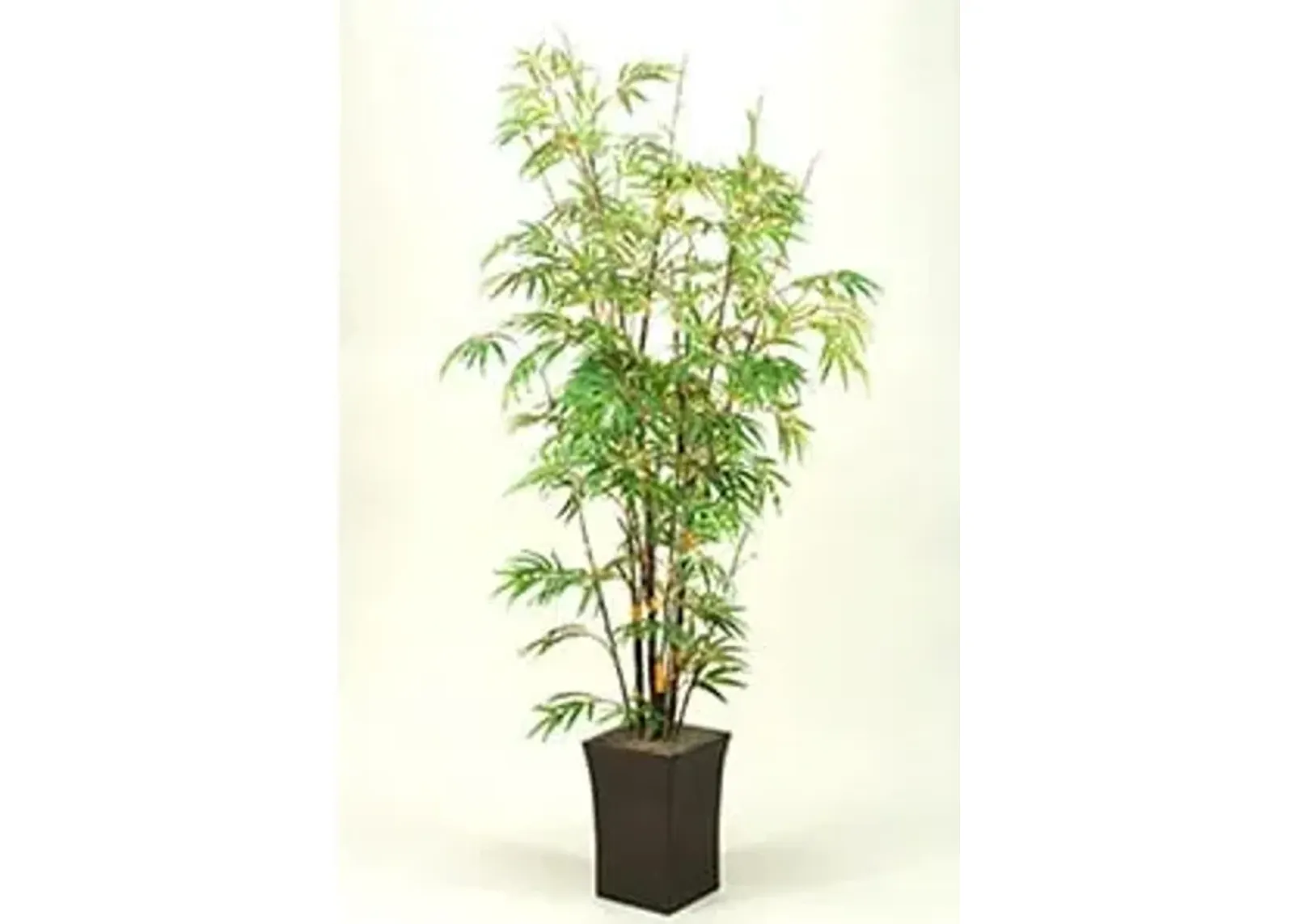 Bamboo Tree 7'H